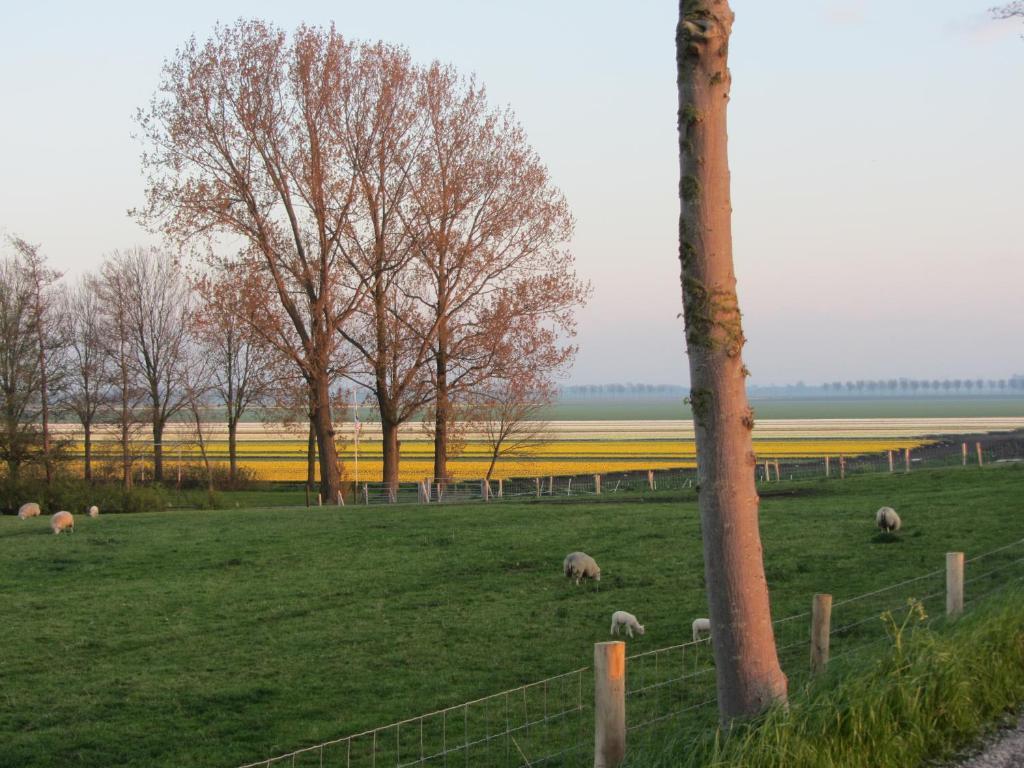 Bed En Breakfast In Het Fruit Zuidoostbeemster Extérieur photo